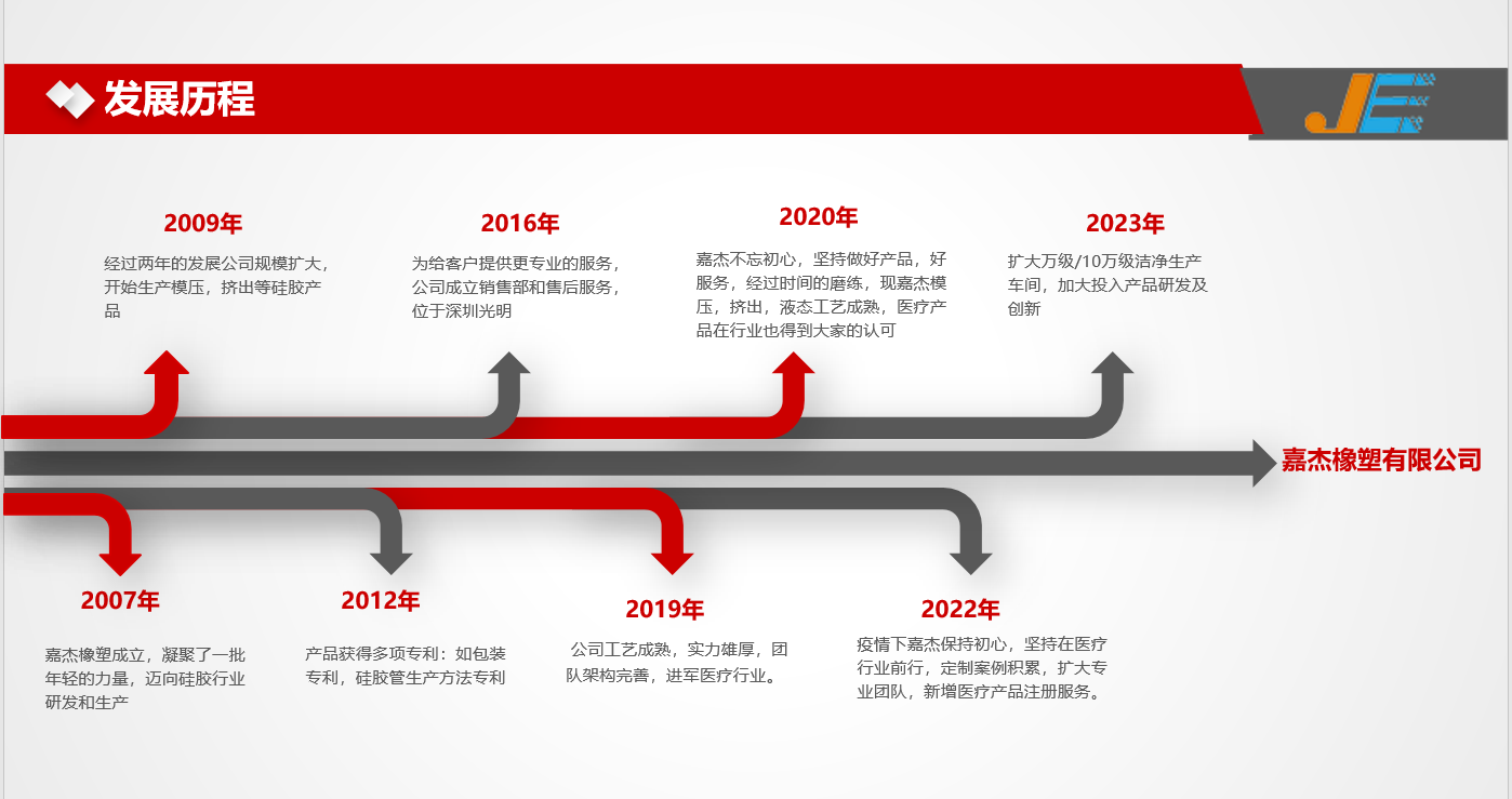 广东长发集团有限公司，历史、成就与未来展望