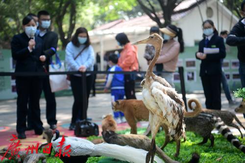 广东省动物溯源，探寻生态和谐的源头