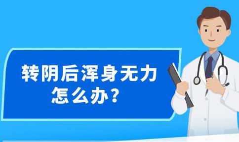 新澳精准资料免费提供-精选解释解析落实