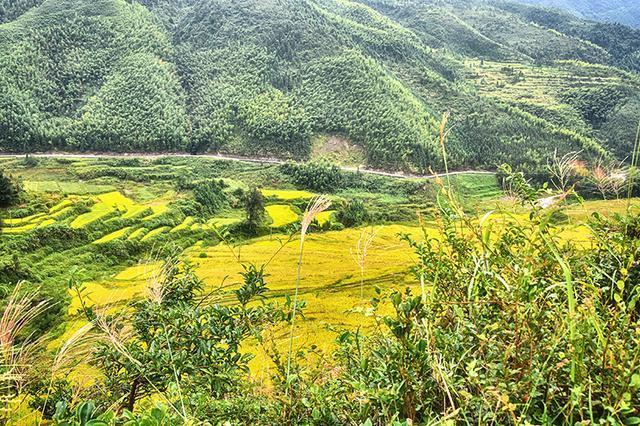 广东省山区作物的丰富多样与独特魅力